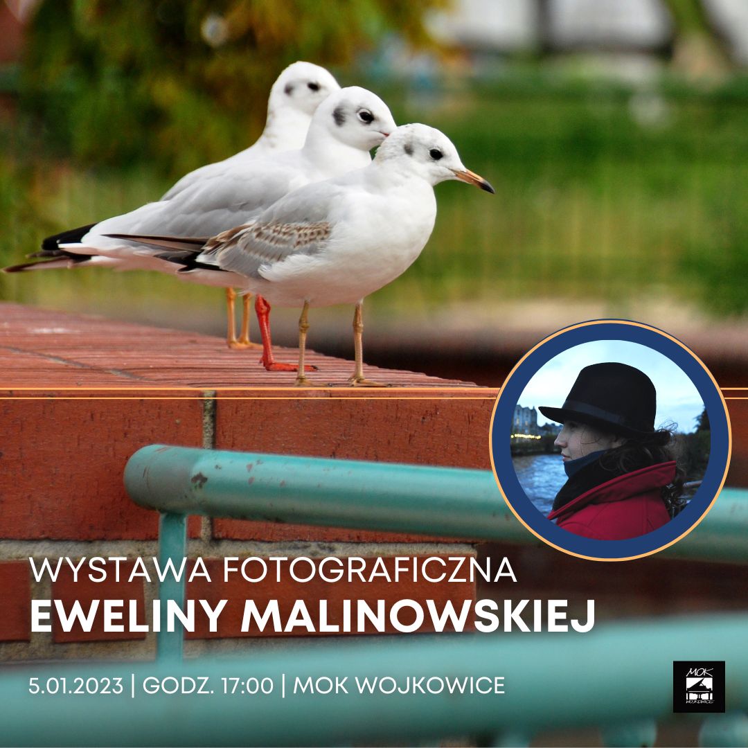 Plakat do wydarzenia: wystawa fotograficzna Eweliny Malinowskiej, 5 stycznia o godzinie 17:00 w Miejskim Ośrodku Kultury w Wojkowicach