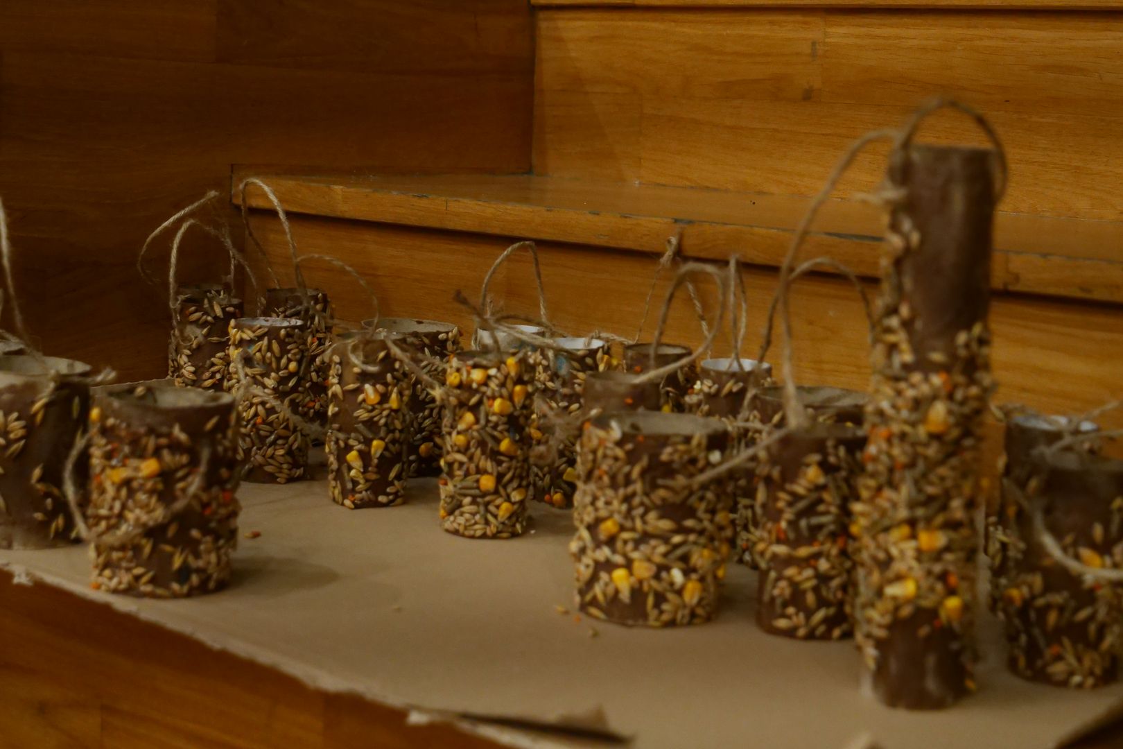 Przyjaciele z karmnika